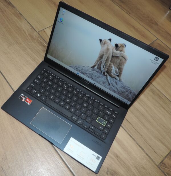 3 Asus Vivobook M413DA